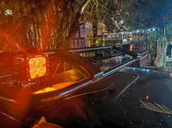 Aksesoris Offroad 2 INCH WORK LIGHT SPOT 12 W AMBER LED WILD FOREST TAS4X4 2 inch work light spot 12 w amber led wild forest tas4x4 2