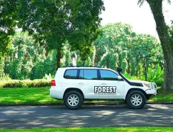 Foto Gallery 6 6 img_9078